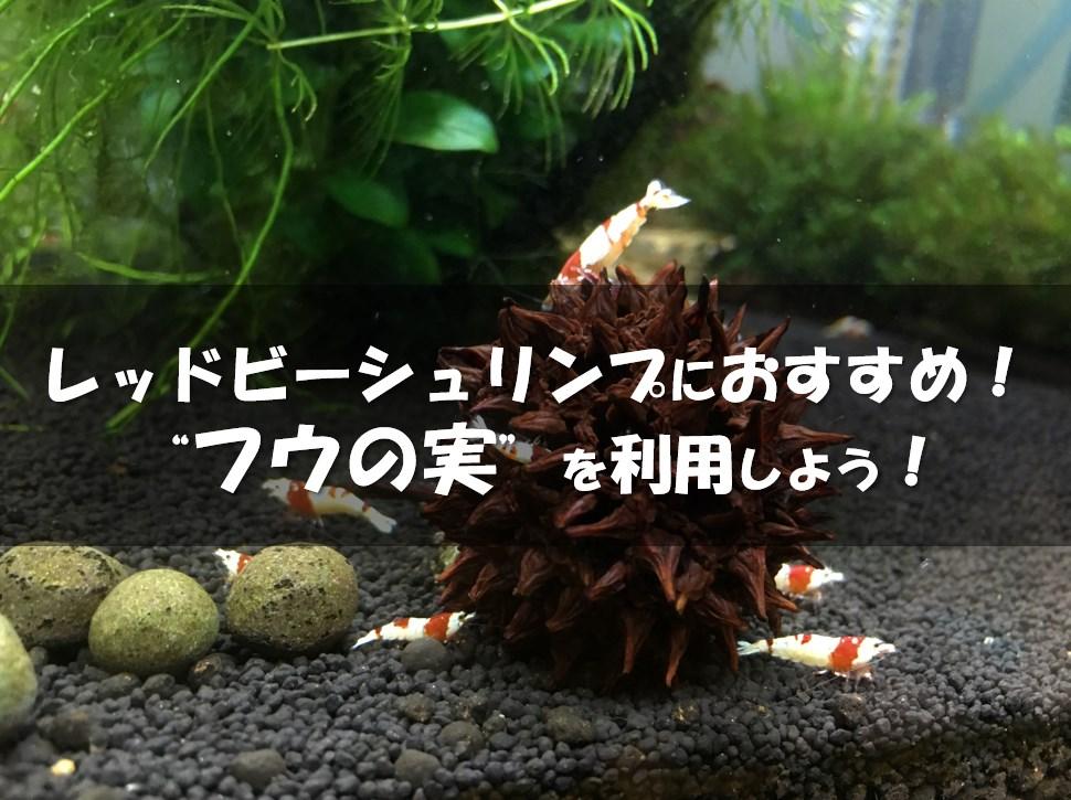 モミジバフウの実10個 西日本産 ハンドメイド素材 多少不揃い 水槽内稚魚の隠れ場所に最適 未使用品 ハンドメイド素材